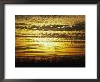 The Sun Sets Over A Cornfield by Paul Damien Limited Edition Pricing Art Print