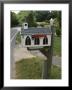A Mailbox Designed To Look Like A Church by Darlyne A. Murawski Limited Edition Print