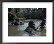 Aborigine Mothers And Children Cool Off During A Swim In A River by Randy Olson Limited Edition Print