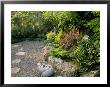 Japanese Style Garden by Mark Bolton Limited Edition Print