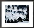 Distant View Of A Gray Wolf Howling On A Snowy Hillside by Joel Sartore Limited Edition Print