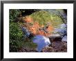 Red Rock, Havasupai Reservation, Havasu Canyon, Arizona, Usa by Jerry Ginsberg Limited Edition Print