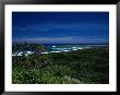 Sigatoka Sand Dunes Park, Viti Levu by Walter Bibikow Limited Edition Print