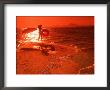 Woman With Inner Tube On Beach At Sunset, Brazil by Silvestre Machado Limited Edition Print