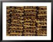 Pine Wood Stacks, Landes, Aquitania, France by Michele Molinari Limited Edition Pricing Art Print