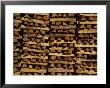 Pine Wood Stacks, Landes, Aquitania, France by Michele Molinari Limited Edition Print