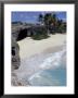 Palm Tree Lined Beach At Bottom Bay, Barbados, Caribbean by Greg Johnston Limited Edition Print