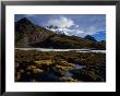 Marsh Near Laguna Comercocha With Summit Of Ausangate Behind, Cuzco, Peru by Grant Dixon Limited Edition Print