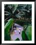 Women Walking In Singapore Botanic Gardens, Singapore, Singapore by Phil Weymouth Limited Edition Print