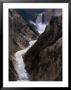 Lower Falls Of The Yellowstone River, Yellowstone National Park, Wyoming, Usa by Dee Ann Pederson Limited Edition Print