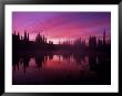 Base Of Mt. Rainier, Reflection Lake, Washington, Usa by Jerry Ginsberg Limited Edition Print