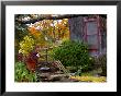 Rustic House, Vermont, Usa by Joe Restuccia Iii Limited Edition Print
