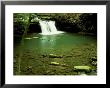 Blue Hole Falls On The Little Fiery Gizzard Creek, Tn by Willard Clay Limited Edition Pricing Art Print
