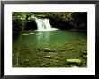 Blue Hole Falls On The Little Fiery Gizzard Creek, Tn by Willard Clay Limited Edition Print