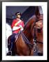 Mounted Guard In Front Of The Royal Palace, Malaysia by Michele Molinari Limited Edition Print