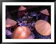 Women In Traditional Conical Hats Sitting Down To Meal At Market, Hoi An, Vietnam by John Banagan Limited Edition Print