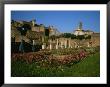 The Garden Of The Vestal Virgins In The Roman Forum by Taylor S. Kennedy Limited Edition Pricing Art Print