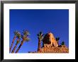 Date Palms Along The Avenue Of The Sphinxes, Luxor, Egypt by Anders Blomqvist Limited Edition Print