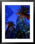 Citibank Center And Palm Trees From Below, Los Angeles, United States Of America by Richard Cummins Limited Edition Print