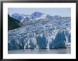 Close View Of A Glacier Spilling Into The Water Off Chile by Mark Thiessen Limited Edition Print