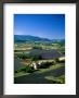 Lavender Fields, Sault, Provence, France by Steve Vidler Limited Edition Print