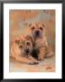 Two Shar Pei Puppies by Henryk T. Kaiser Limited Edition Print