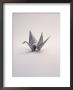 Origami Crane On White by Howard Sokol Limited Edition Print