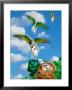 Money Hatching And Flying From Nest by Paul Katz Limited Edition Print