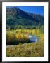 Mts And Trees In Autumn, Denali National Park, Ak by Hal Gage Limited Edition Print