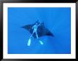Diver Holds On To Giant Manta Ray, Mexico by Jeff Rotman Limited Edition Print