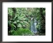 Triplet Falls, Victoria, Australia by Peter Adams Limited Edition Pricing Art Print