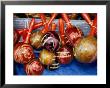 Wooden Maracas, Aruba by Jennifer Broadus Limited Edition Print