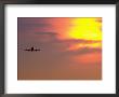 Commercial Airplane At Sunset by Mitch Diamond Limited Edition Pricing Art Print