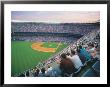 People At A Baseball Game by Rudi Von Briel Limited Edition Print