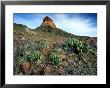 Big Bend National Park, Usa by Olaf Broders Limited Edition Pricing Art Print