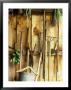 Garden Tools Hanging In Shed Fork, Shears, Rake, Lopper, Axe, Saw & Gardening Gloves by Martine Mouchy Limited Edition Print