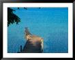 Dock On Lago Peten Itza, El Remate, Guatemala by Keren Su Limited Edition Print