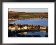 Town Buildings Overlooking Harbour, Stonehaven, United Kingdom by Jonathan Smith Limited Edition Print