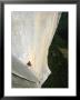 A Man Climbs El Capitan, Yosemite, California by Jimmy Chin Limited Edition Print