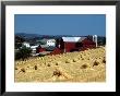 Amish Farm With Sheaves Of Wheat by David M. Dennis Limited Edition Print