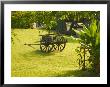 Domaine De Severin Rum Distillery, And Sugar Cane Cart, Guadaloupe, Caribbean by Walter Bibikow Limited Edition Print