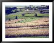 Hollandale, Farm View, Wisconsin by Walter Bibikow Limited Edition Print