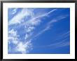 Whispy Stark White Cirrus Clouds In A Vast Blue Sky, Australia by Jason Edwards Limited Edition Print