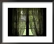 Looking Out The Window Of A Log Cabin Through Lace Curtains by Todd Gipstein Limited Edition Print