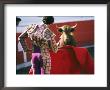Bullfighter Holds His Red Cape Before A Bull by Pablo Corral Vega Limited Edition Print