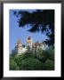 Bran Castle (Dracula's Castle), Transylvania, Romania, Europe by Charles Bowman Limited Edition Print