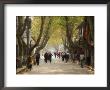 Street Scene, Souzhou (Suzhou), China, Asia by Jochen Schlenker Limited Edition Pricing Art Print