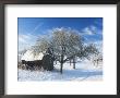 Barn And Apple Trees In Winter, Weigheim, Baden-Wurttemberg, Germany, Europe by Jochen Schlenker Limited Edition Print