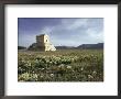Tomb Of Cyrus The Great, Passargadae (Pasargadae), Iran, Middle East by Christina Gascoigne Limited Edition Print