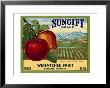 Sungift by Elizabeth Garrett Limited Edition Pricing Art Print